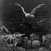 The albatross is shot by the Mariner, from 'The Rime of the Ancient Mariner'